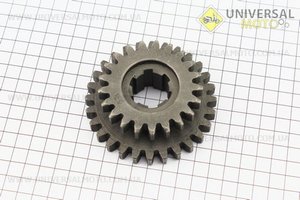 КПП - Шестерня Z=21x28. Китай (Запчастини на мотоблок з двигуном 175 и 195N / UM6048-V54)
