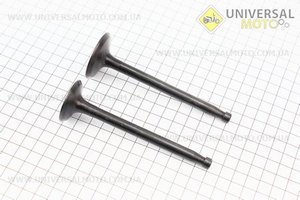 Клапан впускний (h-120; D-42; d-8,9), випускний (h-120; D-36; d-8,9) комплект ZS1100. Китай (Запчастини на мінітрактор з двигуном ZS1100 / UM6100-V12)