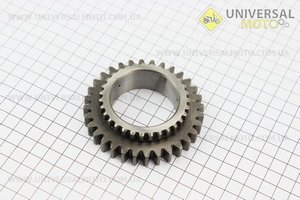 Шестерня 3 передачі Z = 31/32 Foton 244, Jinma 244/264 (250.37.144). Китай (Запчастини на мінітрактор Foton / UM6170-V90)