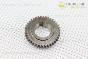 Шестерня 1 передачі відома Z = 39 Foton 354/404 (TE 300.371-04). Китай (Запчастини на мінітрактор Foton / UM6171-V60)